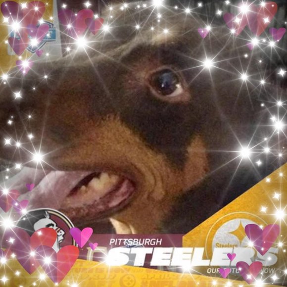 Meet your Posher, Cheryl - Picture 1 of 1